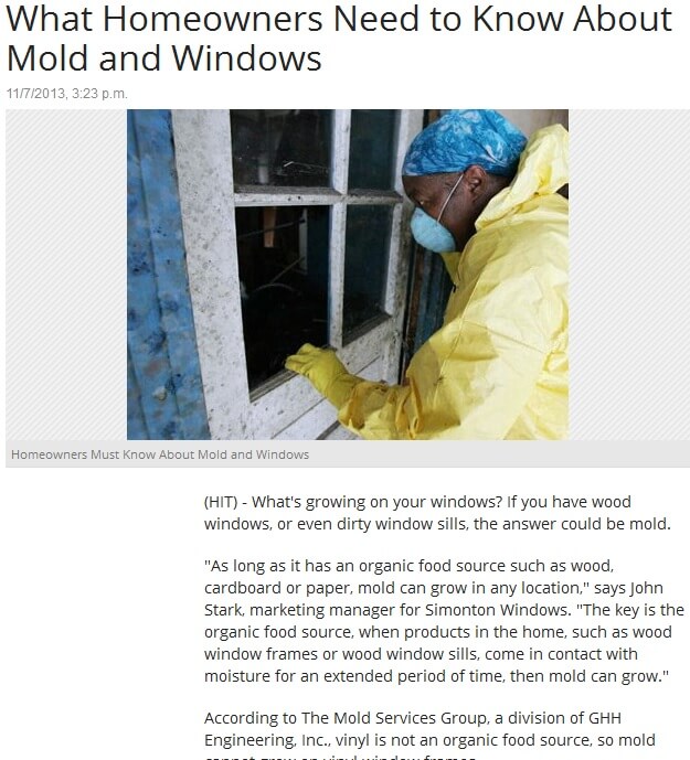 Mold Windows