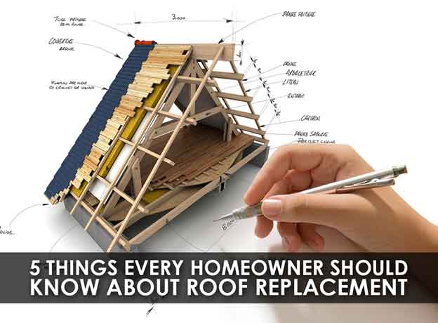 5 Things Every Homeowner Should Know About Roof Replacement
